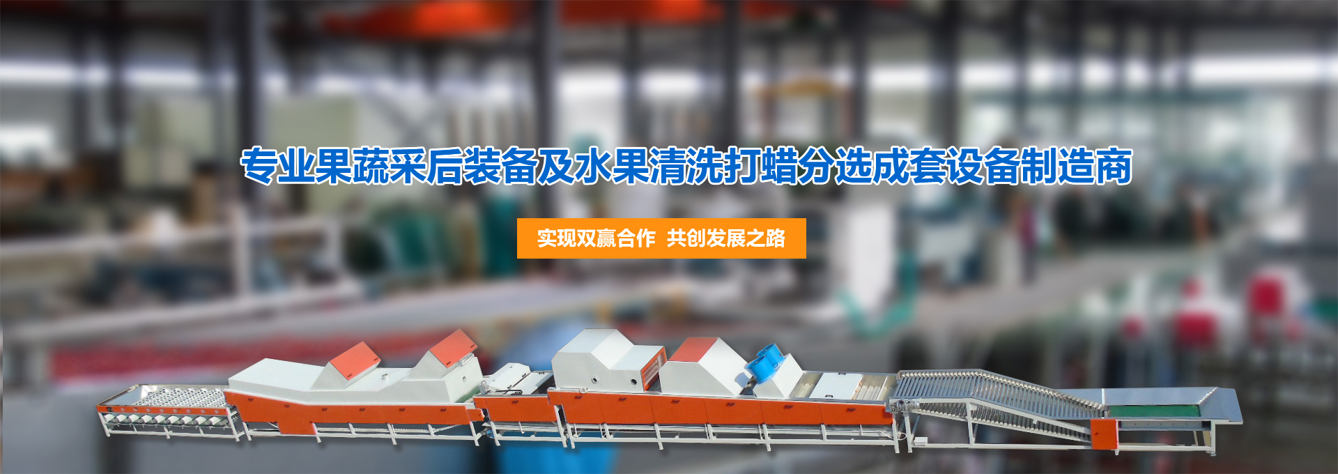 宜昌水果打蠟機