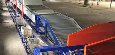 湖北上果機、分選機與清洗機設備銜接流程的關鍵注意事項